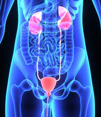 Evaluation of paediatric hydrocele hernia & it’s correction