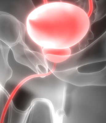 Infection of penile skin