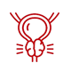 Surgeries of Urethra & Penis