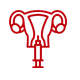 Female Functional Urology Surgeries